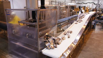 精准防控，守护安全 食品厂高效杀灭黄曲霉毒素的实践指南