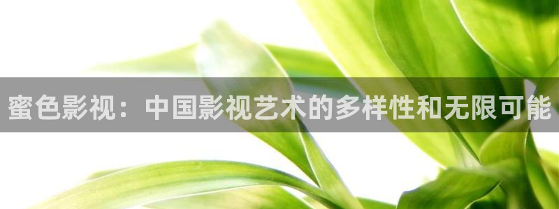 理论午夜片