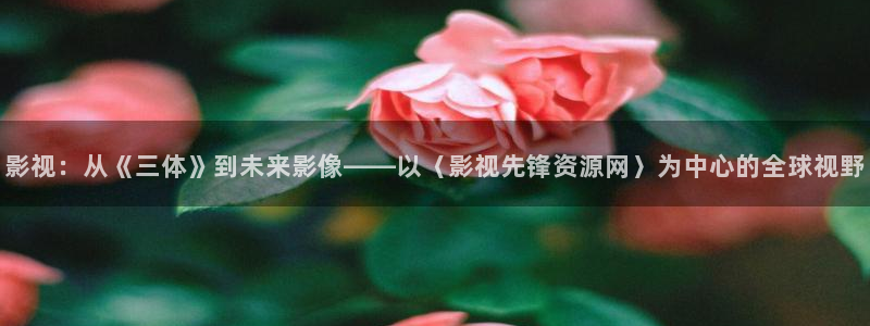 被窝理论电影