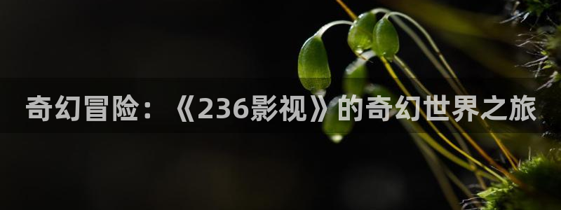 伦伦影院午夜理论片