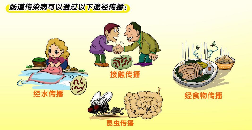 节日饮食卫生指南 预防肠道传染病