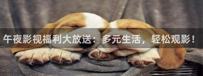 泡泡影视理论