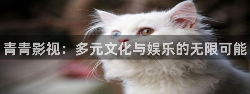 日本理论电影在线看