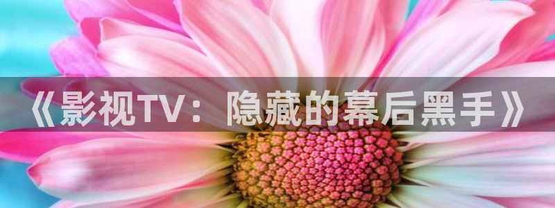 理论的电影